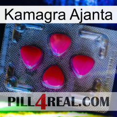 Kamagra Ajanta 13